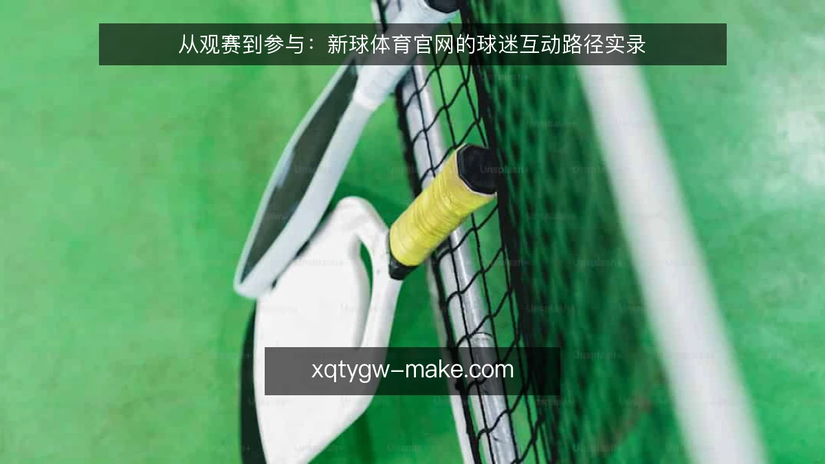 从观赛到参与：新球体育官网的球迷互动路径实录