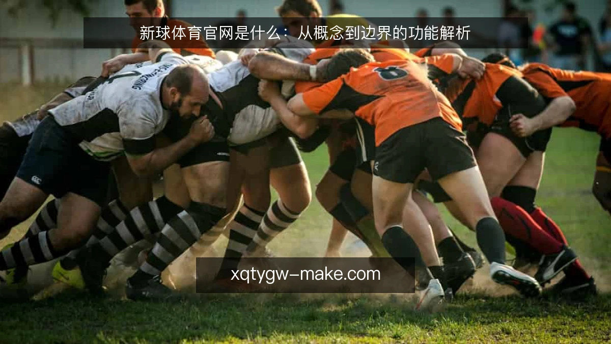 新球体育官网是什么：从概念到边界的功能解析