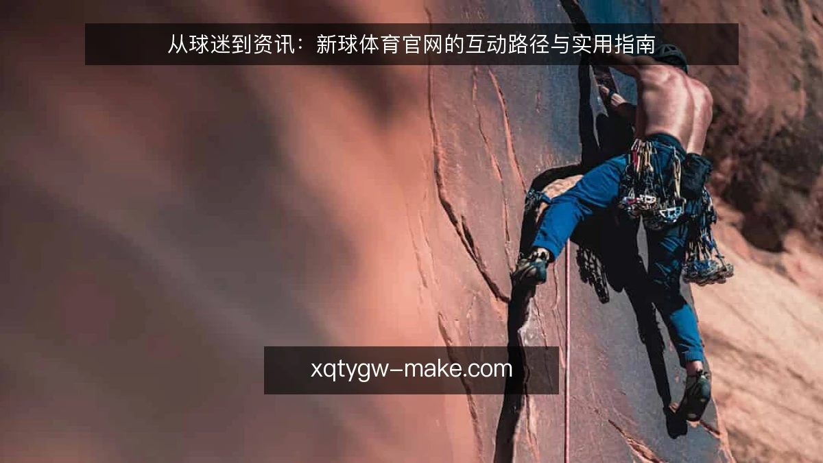 从球迷到资讯：新球体育官网的互动路径与实用指南