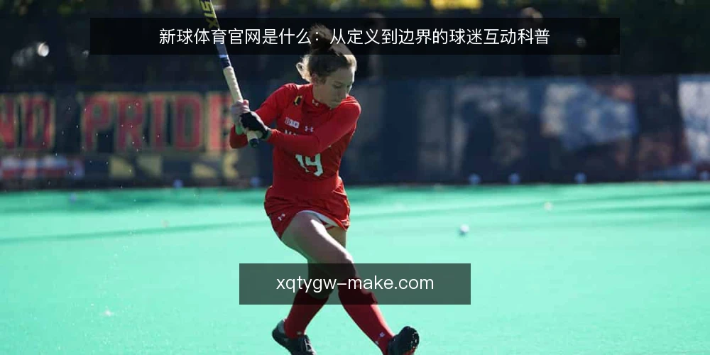 新球体育官网是什么:从定义到边界的球迷互动科普 — 新球体育官网是什么:先厘清定义 配图