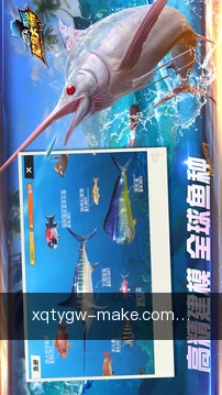 新球体育官网随身工具
